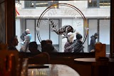 Rabbit Hole — bar in Ottawa