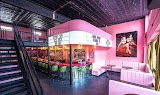Hidden Gem — bar in St. Louis