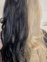 diModa Salon & Spa — hair salon in San Jose