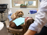 Seattle Dental Associates — dentist in Seattle