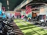 Miami Strong Gym — gym in Miami