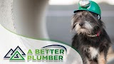A Better Plumber (an Absolute Plumbing Company) — plumber in Denver