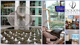 Jackson Dental — dentist in Tampa
