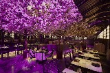 Tattu London — restaurant in London