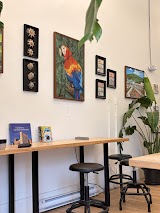 Más Coffee Co — coffee shop in Winnipeg