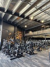 Inception Gym 24/7 Tower Junction — gym in Christchurch