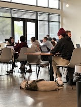 Moxie Coffee Co. — coffee shop in Phoenix