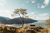 Knox Mountain Dentistry — dentist in Kelowna