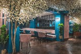 MUSE Brasserie - Bristol — restaurant in Bristol