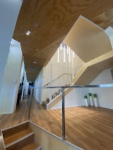 Wellington Dentists Ltd — dentist in Wellington