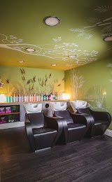 NOCO Hair — hair salon in Bristol