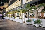 Opa Bar & Mezze — restaurant in Brisbane