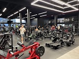 Big Daddy Fitness | Montreal luxury gym and memberships — gym in Montreal