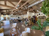 Swoon Salon + Boutique — hair salon in Phoenix
