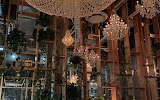 Orchard Restaurant — restaurant in Calgary
