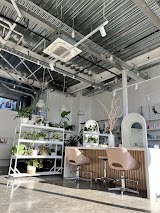 Balayage* — hair salon in Christchurch