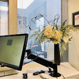 Portland Dental — dentist in Portland