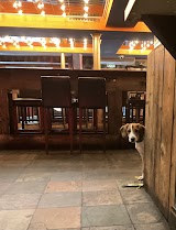 The Howlin' Wolf: Bar, Kitchen, Juke Joint — bar in Glasgow