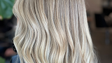 Haas Salon — hair salon in Tampa