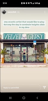 Velvet Gypsy — bar in Tampa