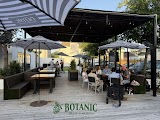 Botanic Beer Garden — bar in Houston