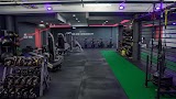 Fit Results — gym in Chicago