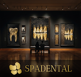 Spa Dental Sydney CBD — dentist in Sydney