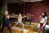 The Jungle Wellness Studio — gym in Edmonton