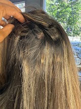 South Tampa Salon — hair salon in Tampa