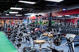 Optimum Gym — gym in Tampa
