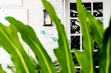 Cultivate Hair Salon — hair salon in Jacksonville