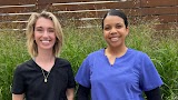 NE 1 Dental — dentist in Minneapolis