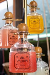 The Garden of Eden — bar in Cleveland