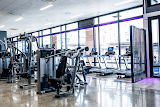 Anytime Fitness Wyndham Street (CBD) — gym in Auckland